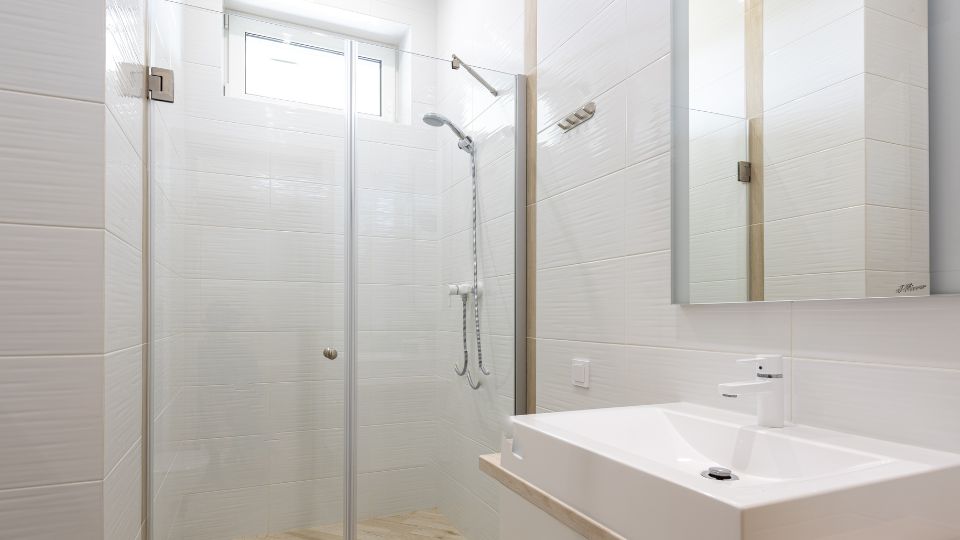 Glass Shower Door